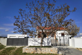 Family friendly house with a swimming pool Bulic, Zagora - 18943